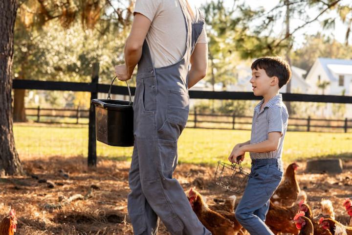 Childrens Activities 58 of 122