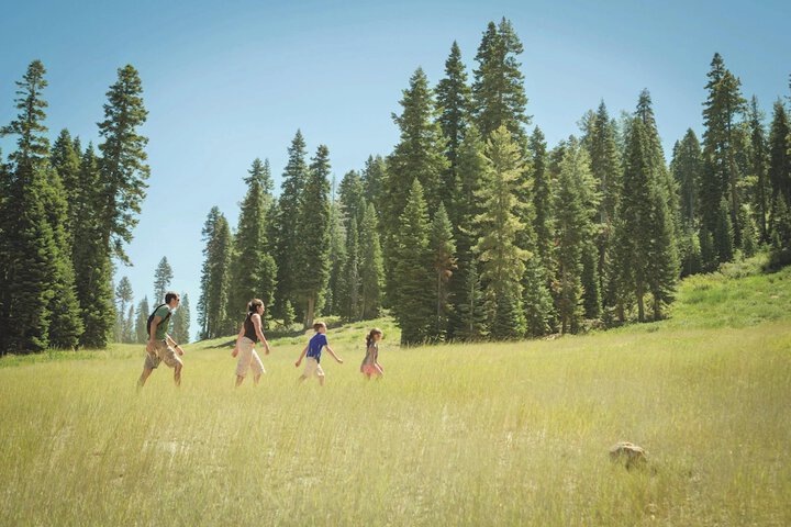 Hiking