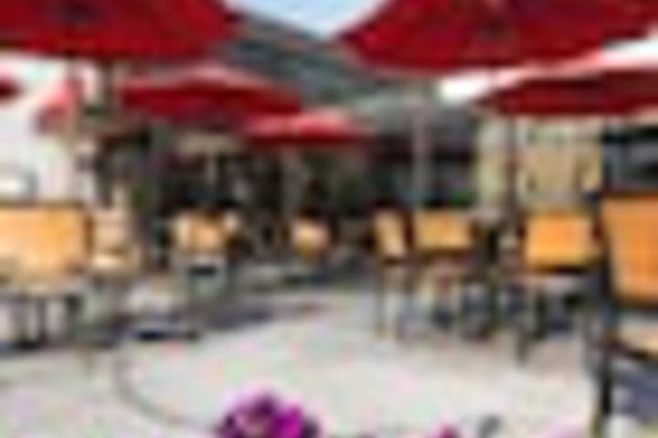Terrace/Patio 167 of 177