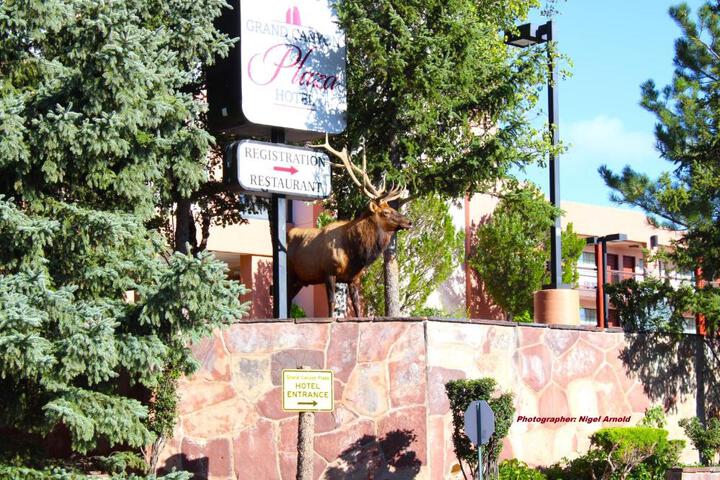 Photo 49