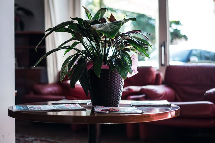 Lobby Entry