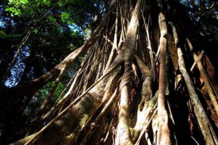 Property Grounds 32 of 43