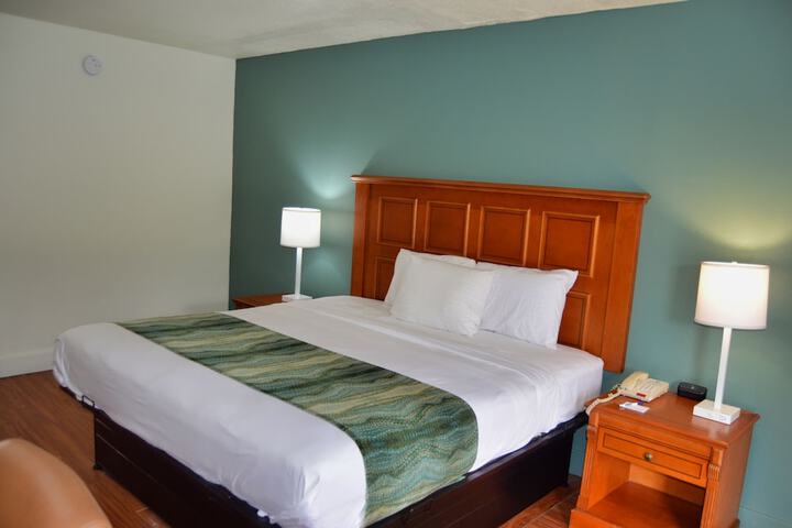1 King Bed (7 of 14)