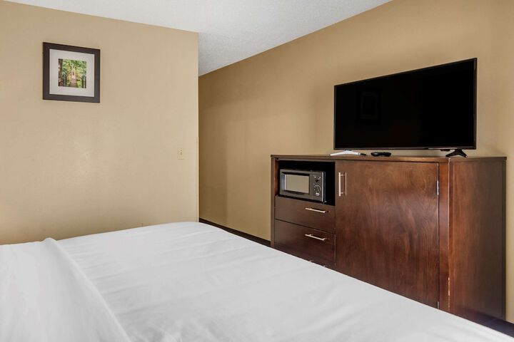 1 King Bed (6 of 14)
