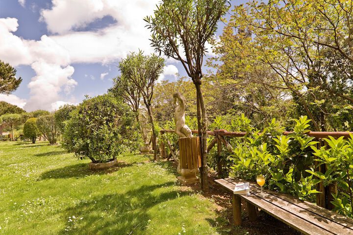Property Grounds 62 of 94