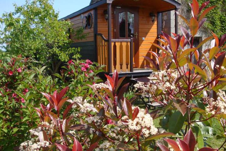 General 32 of 47