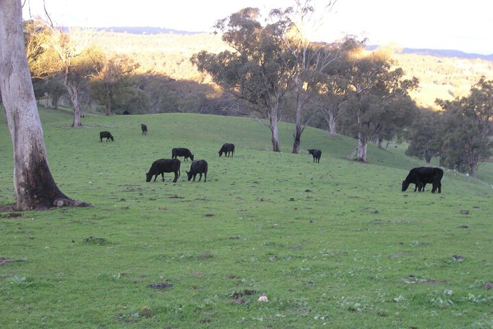 Property Grounds 12 of 20