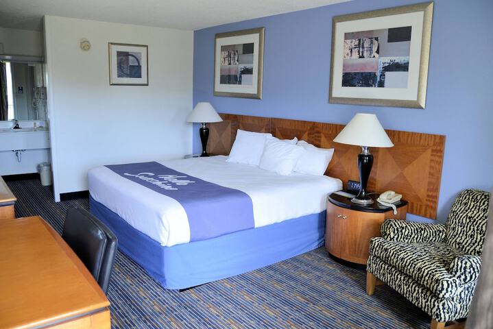 1 King Bed Pet Friendly (18 of 56)