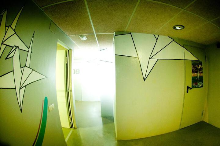 Photo 10