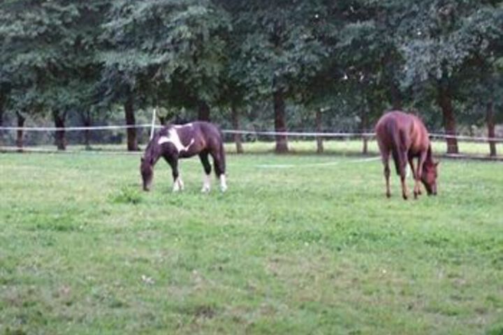 Property Grounds 4 of 5