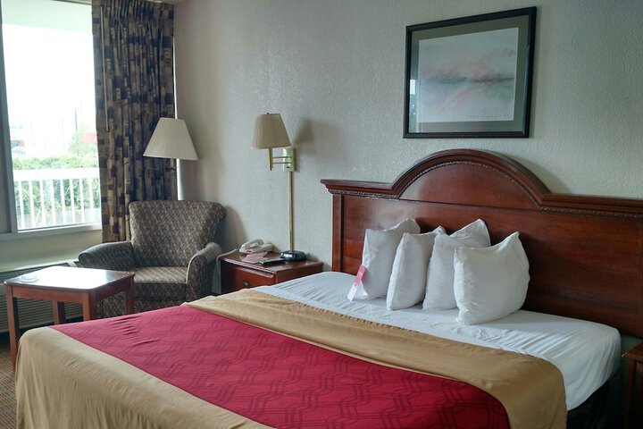 1 King Bed (19 of 25)