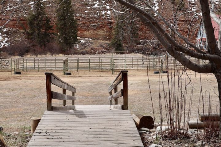 Property Grounds 56 of 66