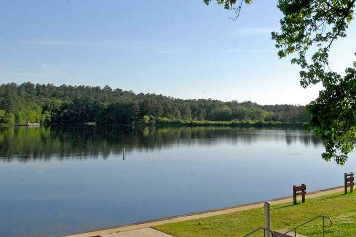 Lake view