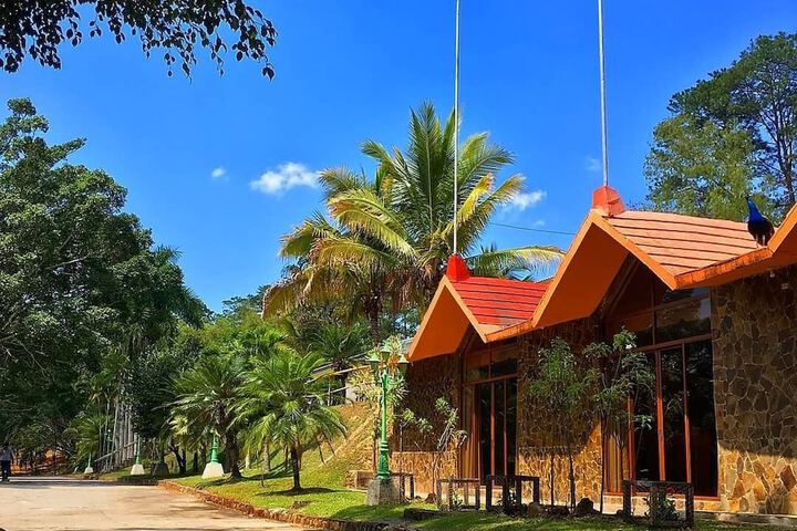 Exterior of Hotel Entre Pinos