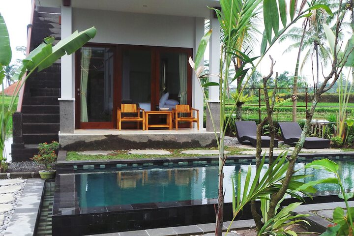 Pool 31 of 45