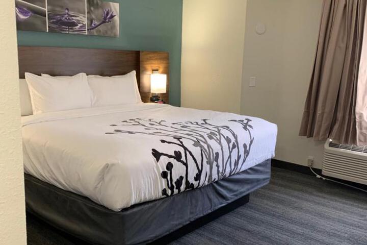 1 King Bed Accessible (4 of 8)