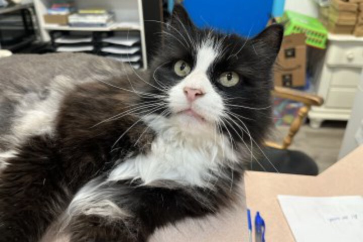 Property Grounds 49 of 113