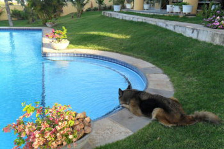 Pool 163 of 177