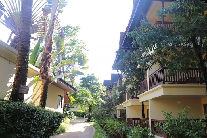 View from room
