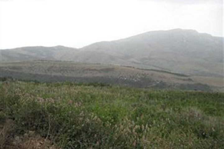 Property Grounds 6 of 34