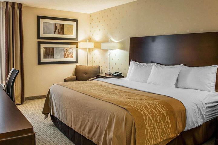Standard | King Bed (1 of 8)