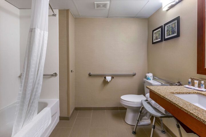 1 King Bed Accessible (10 of 11)