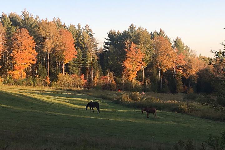 Hotel 69 of 91