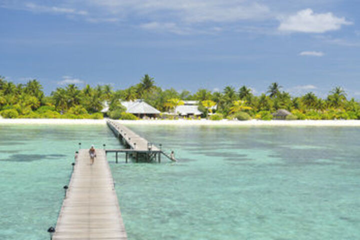 Beach or Ocean View