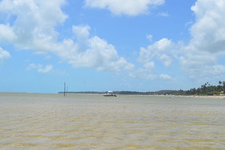 Beach 46 of 52