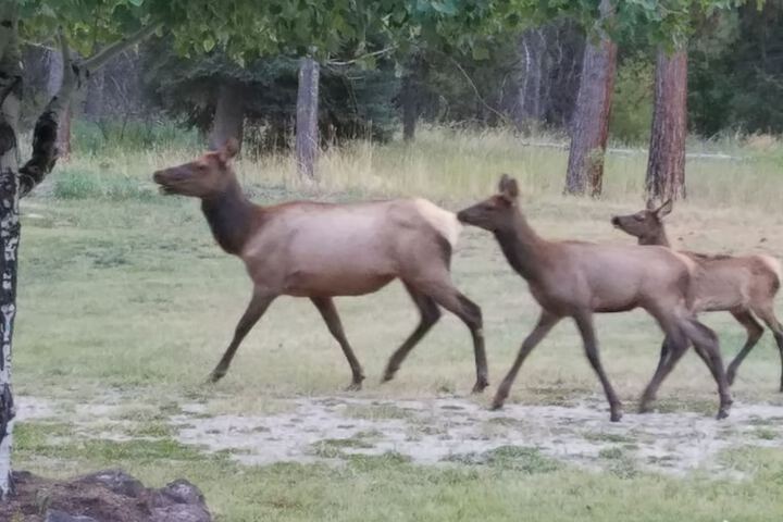 Terrace/Patio 29 of 73
