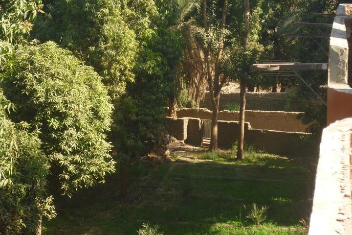Property Grounds 19 of 41