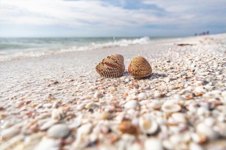 Beach 62 of 85