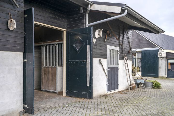 Property Grounds 29 of 47