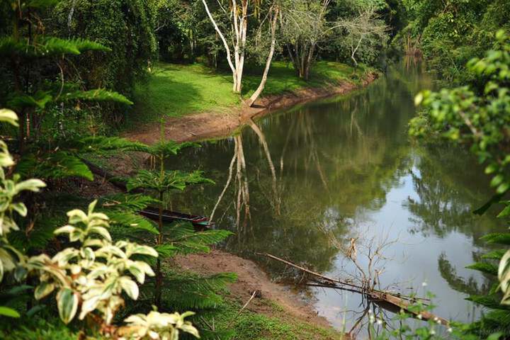 Property Grounds 13 of 25