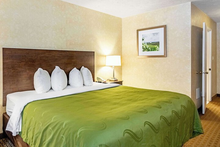 1 King Bed (8 of 11)