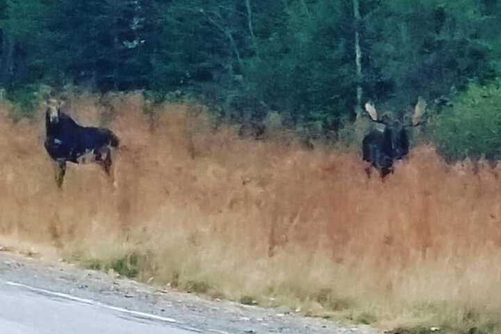 Hotel Interior 21 of 44
