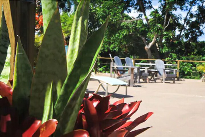 Terrace/Patio 25 of 25