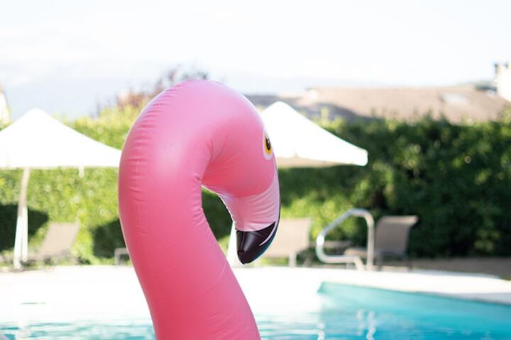 Hotel with Pool