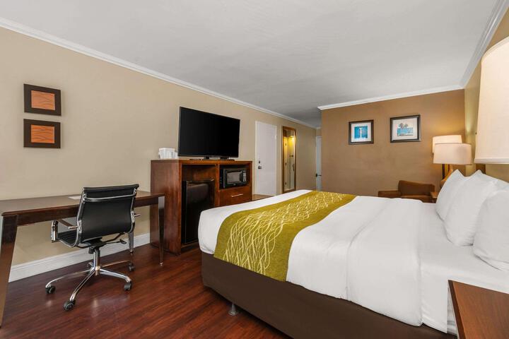 Standard King Bed City View (1 of 11)