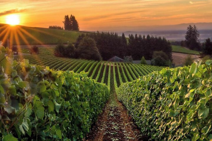 Winery