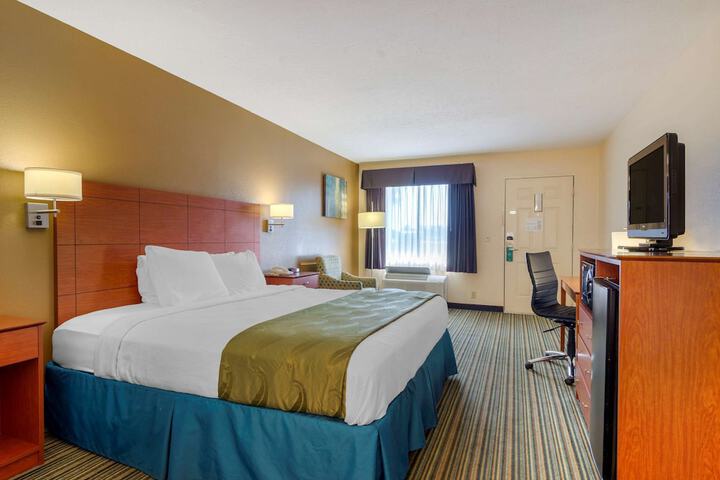 Standard | King Bed (4 of 6)