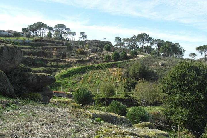 General 9 of 47