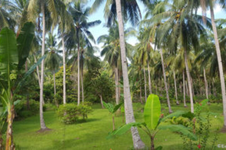 Property Grounds 23 of 28