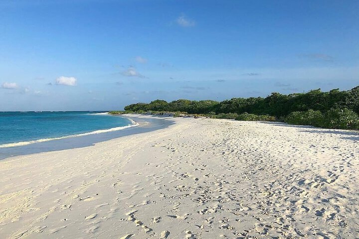 Beach 132 of 211