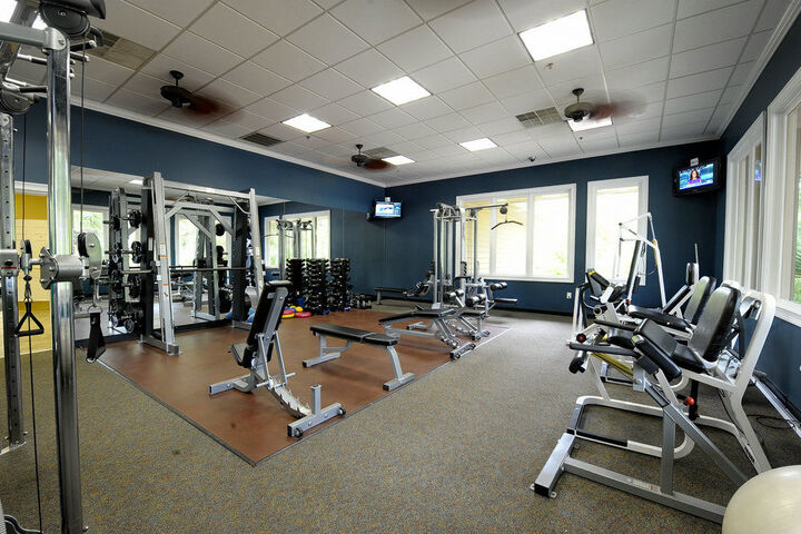 Health and Fitness 8 of 24