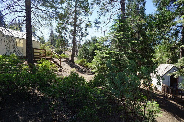 Property Grounds 78 of 100