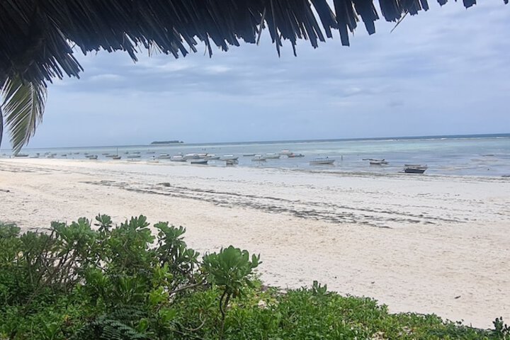 Beach 78 of 96