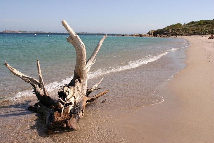 Beach 27 of 35