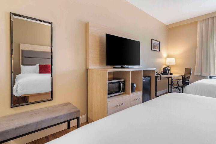 Quadruple 2 Queen Beds Accessible (3 of 11)