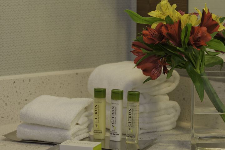Bathroom amenities